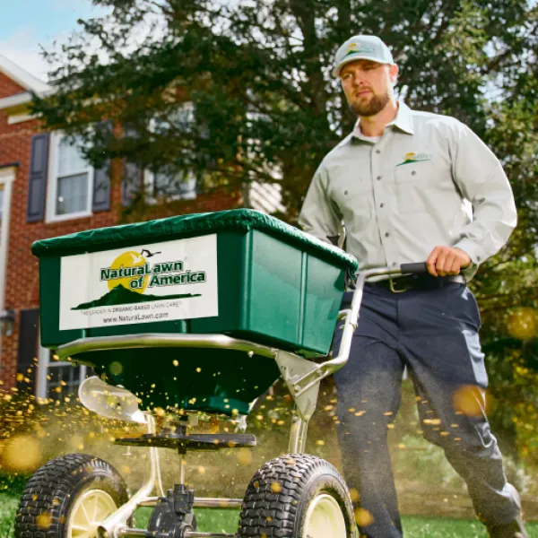 Technician spreading organic-based fertilizer