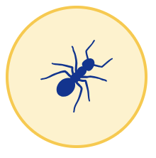 Fire Ant icon
